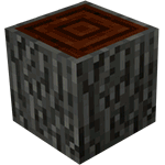 Acacia Log
