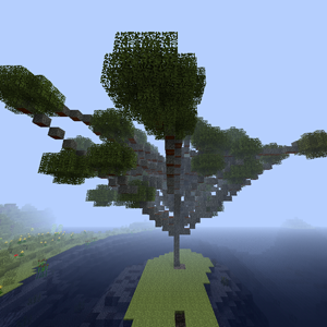 Acacia