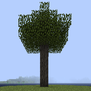 Maple