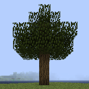 Oak