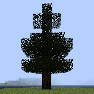 Pine