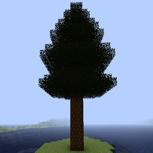 Sequoia