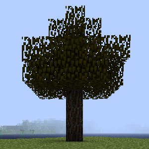 Spruce