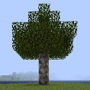 Sycamore