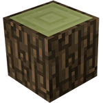 White Elm Log