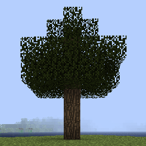 White Elm