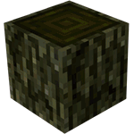 Willow Log