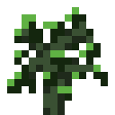 Willow Sapling